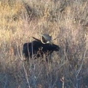 Meet your Posher, Aleta